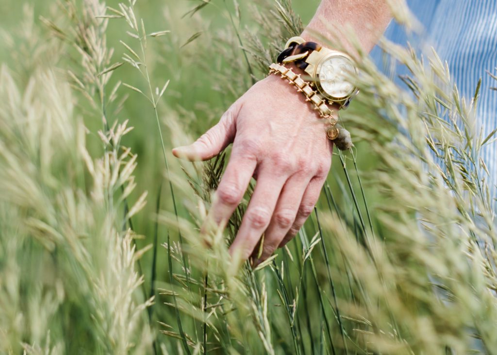 Hand brushing through wheat in field